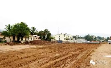 《园林绿化工程建设管理规定》解读 规范工程施工，助力城市绿色发展