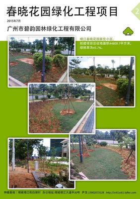 广州市增城区办公室绿化租赁与园林绿化工程施工 打造绿色生态办公空间