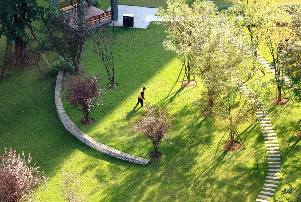 加盟园林绿化工程 营收前景与市场机遇分析