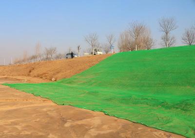 北京绿化土在园林绿化工程施工中的核心作用与实践要点