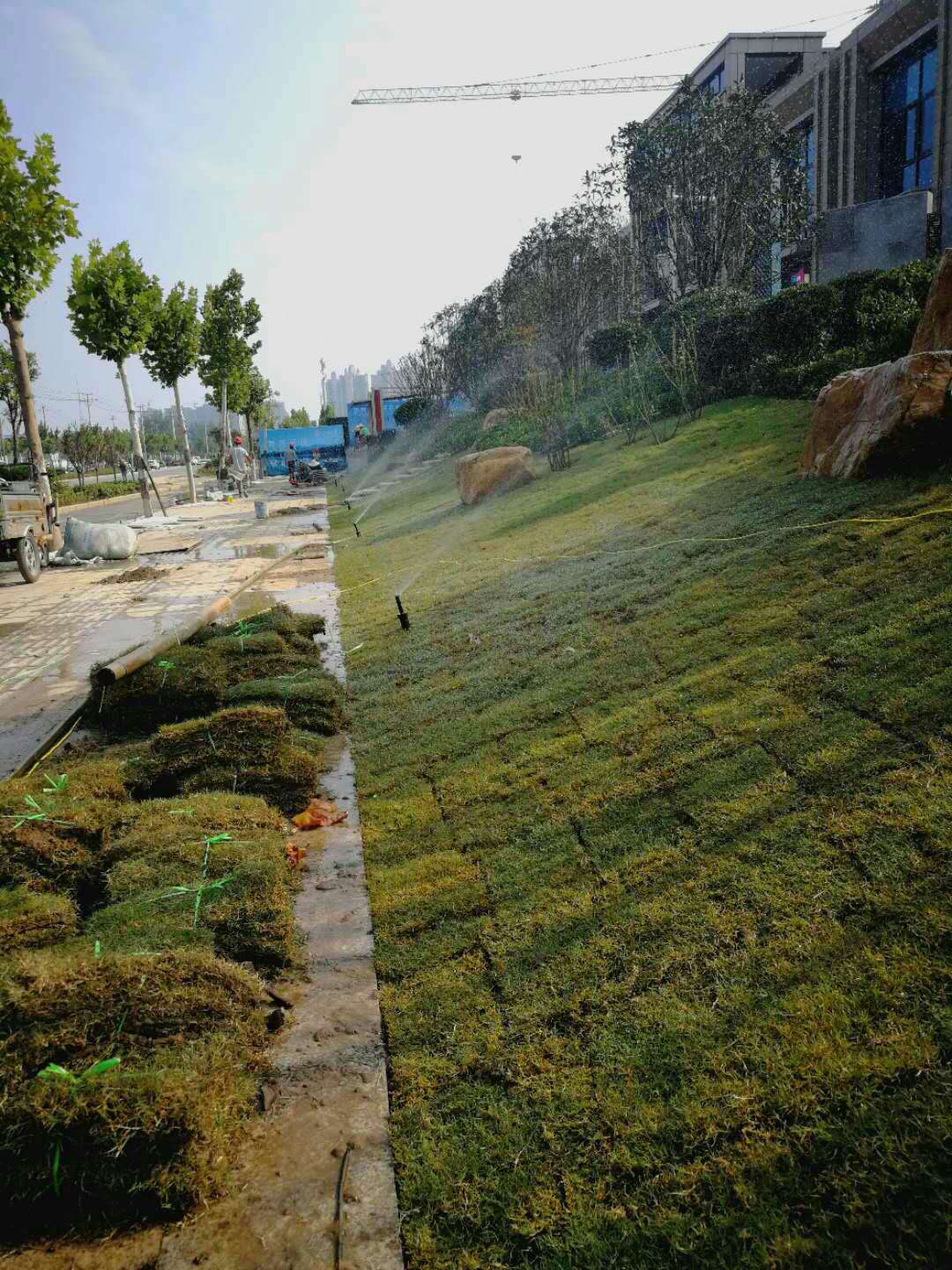 草坪喷灌系统与园林绿化工程施工要点