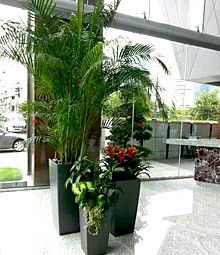 绿色经济新篇章 深圳办公楼与厂房的低成本绿化解决方案