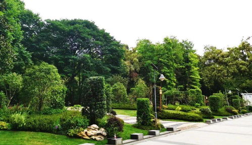 喜讯！人文园林荣获2020年杭州市优秀园林绿化工程两项金奖